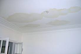 Chimney roof leaks causing damage to plaster in the house