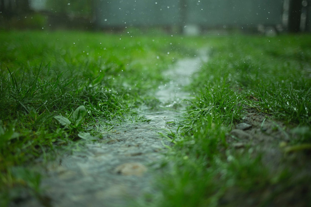 heavy rainfall in Melbourne causing roof leaks